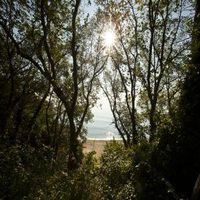 оферти за море - 83407 награди
