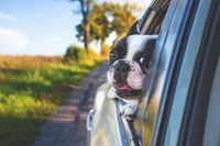 Rent A Car - 71454 options Rent A Car - 16331 options