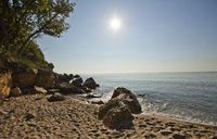 спа процедури - 57503 новини