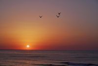 спа процедури - 62069 типа