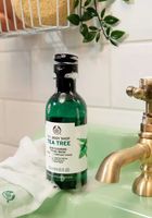 масла от чаено дърво - 11923 снимки масла от чаено дърво - 31968 снимки