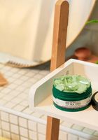 масла от чаено дърво - 54006 новини масла от чаено дърво - 63573 новини