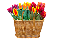 подаръчни кошници - 18674 промоции