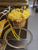 колела Cross - 28839 варианти колела Cross - 68754 варианти