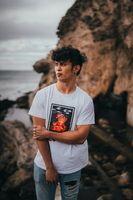 мъжки тениски - 31147 разновидности