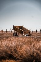 Земеделски новини - 77460 типа