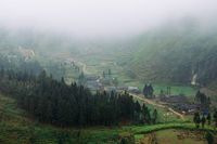 Земеделски новини - 25076 варианти