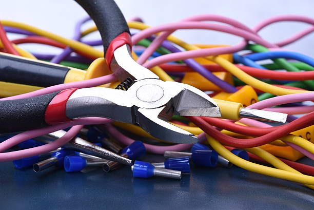 Multi Conductor Cable - 81676 the species