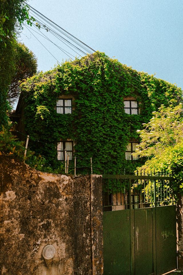 дворни врати - 66854 цени