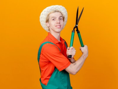 ножици за клони - 38576 снимки