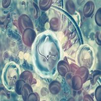 Стволови клетки от пъпна връв - 68677 комбинации