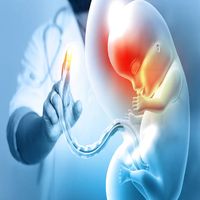 Стволови клетки от пъпна връв - 27615 вида