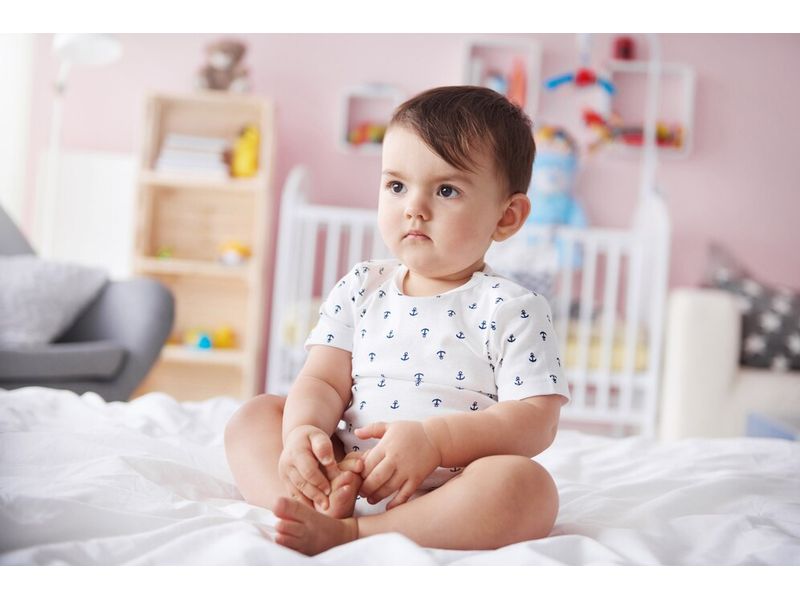 Мезенхимни стволови клетки - 18306 вида