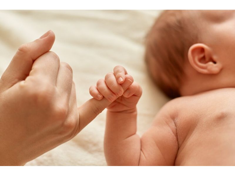 Мезенхимни стволови клетки - 78047 възможности