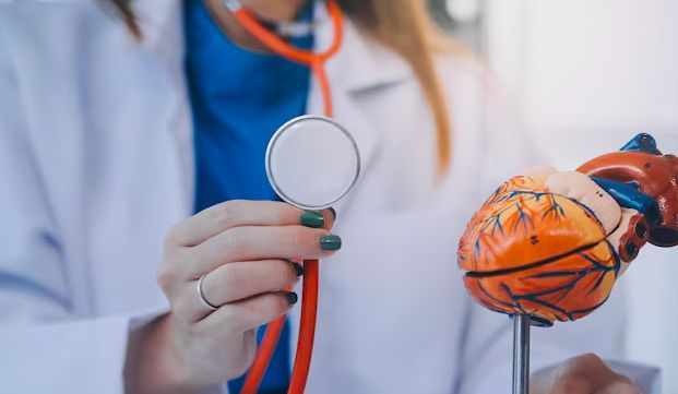 кардиолог софия - 48411 бестселъри