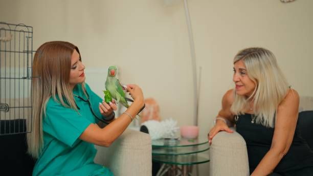 Грижи за папагал - 9704 клиенти