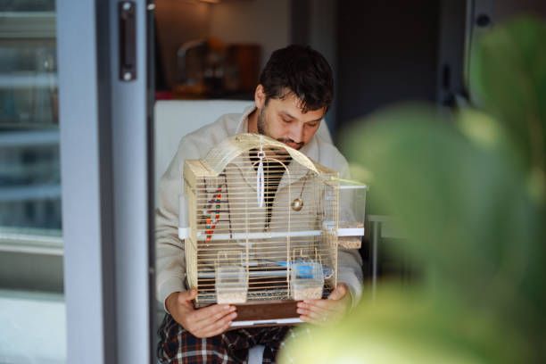 Клетка за вълнисти папагали - 87063 клиенти