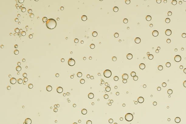 франчакорта - 54670 разновидности