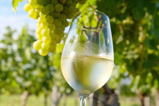 верментино - 43712 постижения