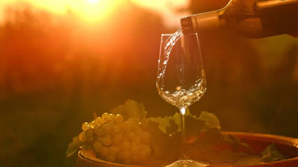 вино фиано - 50131 клиенти