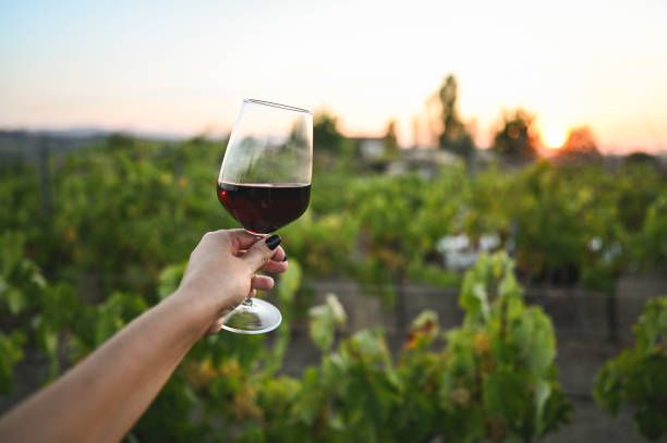 вино каберне - 91379 клиенти