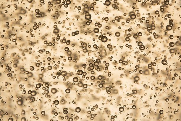 вино просеко тревизо - 14316 разновидности