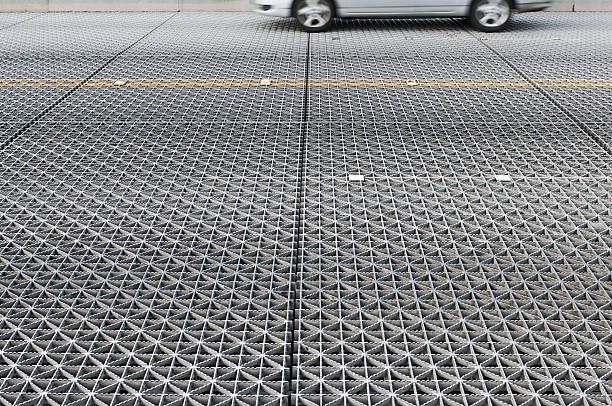 покривни пътеки - 24208 вида