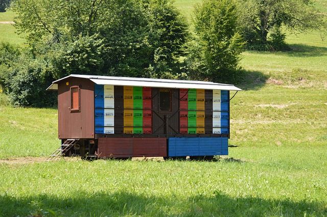 пчеларство - 10169 възможности