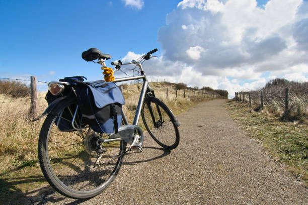 дисаги за велосипед - 30981 цени